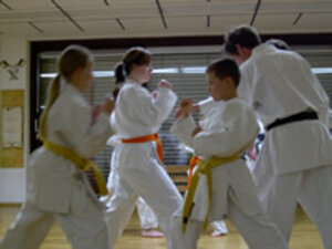 Karate in Radolfzell