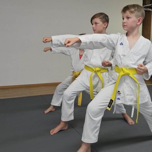 Karate ab 8 Jahre Kinder zeigen eine Fauststoß