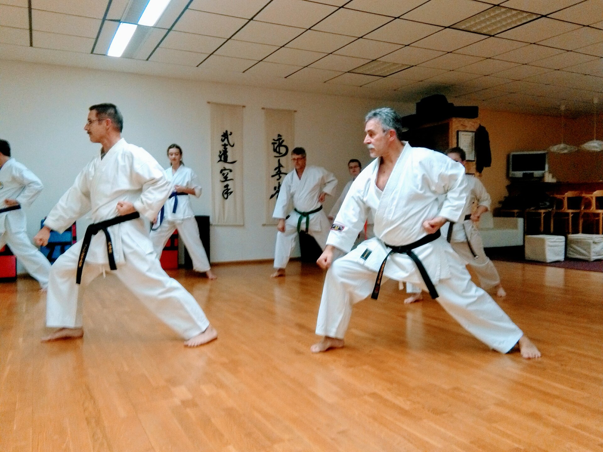 Karate Kata Training
